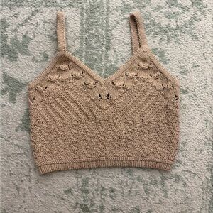 Express Tan Knit Crop Top